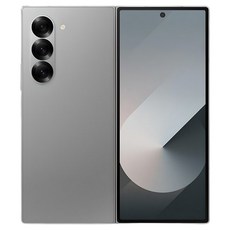 갤럭시 삼성전자 Z폴드6 512GB 미개봉 새제품, S급 실버, 256GB