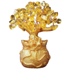 밍프 돈 들어오는 황금 돈나무, 골드