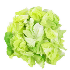 [굿피플] 양상추 양상추샐러드 양상추6통 국내산양상추 [6개입], 2박스