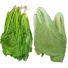 국내산 전라도 열무 (8kg)얼갈이(8kg) 열무+얼갈이(8kg) 알뜰농장, 1개, 열무+얼갈이(8kg) 국내산