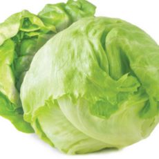 [굿피플] 양상추 양상추샐러드 양상추6통 국내산양상추 [6개입], 1박스