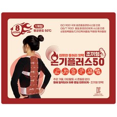 온기플러스50 조끼형 핫팩 220g, 5개
