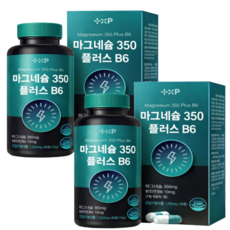 마그네슘 영양제 1위 글루콘산 마그네슘 350mg 추천, 3개, 90정