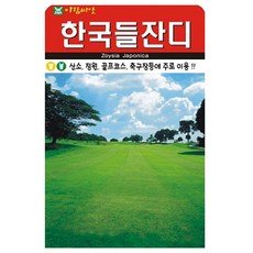 한국 들잔디 씨앗 대용량 4만립, 2개