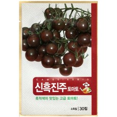 신흑진주 토마토 씨앗 (합 60립) 방울토마토 고급토마토 종자, 2개