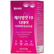 헬씨루틴 체지방컷 19 디데이 다이어트 유산균, 1개, 120정