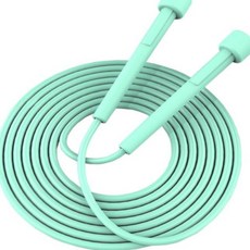 픽 마스터 꼬임방지 홈트레이닝 다이어트 줄넘기, 1개, 블루