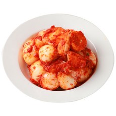 국내산 농산물 당일제조 HACCP인증 전라도 양파김치, 1개, 3kg