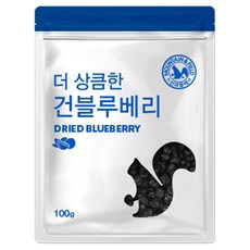 산과들에 건 블루베리 100g 4봉 400g 건과일, 4개
