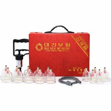 대건부항 일반부항 10년 케어세트, 1세트