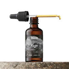 티슬 디퓨저 프래그런스 리필 오일 원액 방향제 아로마 석고 스톤 디퓨져, 카야(교보문고향), 1개, 50ml