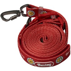 베일리펫 핸즈프리 강아지 리드줄 2.5M 길이조절 산책줄, 1개, 레드