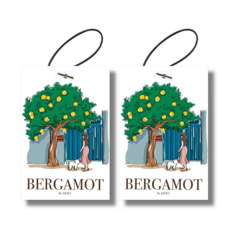 비듀이 퍼퓸 샤쉐 차량용 에어 프레셔너 20g 4종, 베르가못, 2개