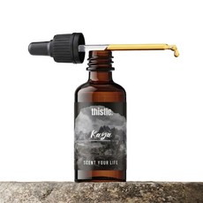 티슬 디퓨저 프래그런스 리필 오일 원액 방향제 아로마 석고 스톤 디퓨져, 산책, 1개, 10ml