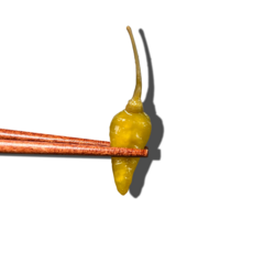 올바른식품 산고추 절임 장아찌, 1개, 1kg