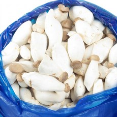 미니 새송이버섯 2KG 엄지 특품 가정용 뿌리손질 새송이, 미니새송이 엄지 특 2kg, 1개