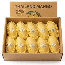 [항공직송] 태국 망고 남독마이 골드망고, 1박스, 2.5kg 대과(5-8수)