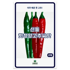 산들 핫청양 고추 씨앗 25립 아주 매운 중생종 고추씨 종자, 1개