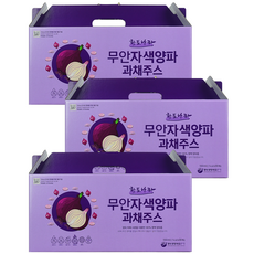 물없이 갈아만든 무안자색양파과채주스, 100ml, 30개