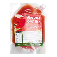 서준엄마네 착즙 수박주스 스파우트 캡 땡모반 냉동, 2개, 1kg
