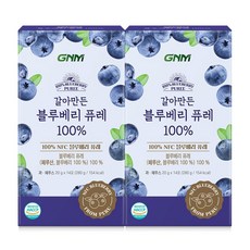 GNM 갈아만든 NFC 블루베리 퓨레 100%, 2개, 280g