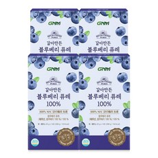 GNM 갈아만든 NFC 블루베리 퓨레 100%, 4개, 280g