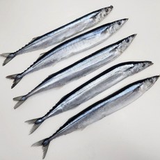 수산잇츠 냉동 꽁치 5미, 1개, 400g