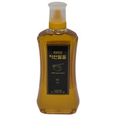 자연에서 온 자연산 지리산 햇꿀 자연벌꿀 잡화꿀, 500g, 1개
