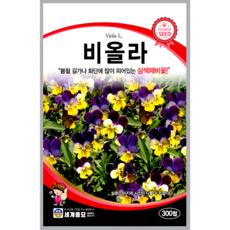 남흥원예사 비올라 300립 원예 관상 조경 화단 용 꽃 씨 씨앗 종자 세계종묘, 1개