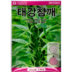 그린하트바이오 태강참깨 3000립 참깨 펠렛 코팅 채소 씨앗 종자 그린하트바이오