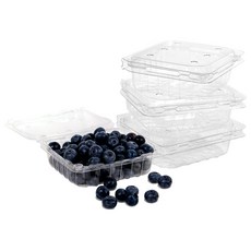 과일용기 일회용PET 블루베리 오디 딸기 포장 200g 100개 KMD-200 소량판매, 1개, 100개입