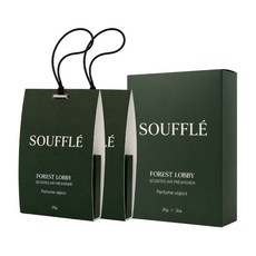 수플 차량용 방향제 독일산 특허 우드칩 20g, 포레스트 로비, 2개 포레스트 로비, 2개