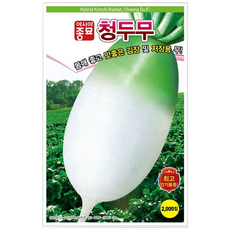 김장무씨앗 2000립 청두무 가을무 저장용무 무씨앗, 1개