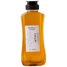 마미자리허니 지리산 자연 벌꿀 매직캡 튜브 국내산 100% 잡화꿀 야생화꿀, 1개, 500g