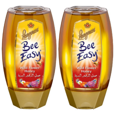 랑네제 비이지 야생화꿀 250g x 2개