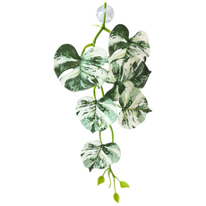 넝쿨몬스테라 알보 인조식물 잎사귀 크레 파충류 사육장 꾸미기, 1개, 녹색(흰색) 넝쿨몬그테라 알보