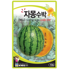세계종묘 자몽수박 씨앗 10립 소과종 수박씨 종자, 1개