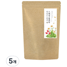 더허브샵 프리미엄 허브티 스페셜블렌딩, 1g, 20개입, 5개
