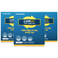 순환엔골드 순환엔 약사가만든 프리미엄 혈액순환건강기능식품 은행잎추출물 마그네슘 토코페롤 혈행 기억력개선에 도움, 3개, 120정