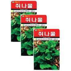 취나물씨앗 1000립 ( 3봉 + 랜덤씨앗1봉 ) 고산 취나물 산채 민속채소 나물, 1개
