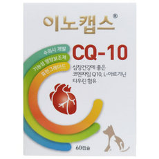 이노캡스 CQ-10 심장 영양제 60캡슐, 60정, 심장/간, 1개