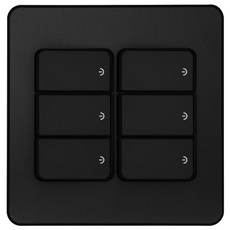 CHEIL ELECTRIC 6開關面板 金屬黑, 1個