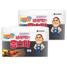 홈스타 냄새먹는 냉장고용 탈취제 참숯 본품, 420g, 2개