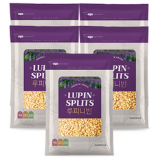 고단백 저당 최상급 루피니빈 1kgX5봉 (호주산), 1kg, 5개