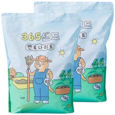 3651 365샌드 고양이모래 벤토나이트, 7kg, 2개