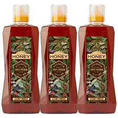 플로비즈 커피꿀 2kg 베트남 자연벌꿀, 3개