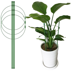 파파가든 식물지지대 5종 토마토지주대 오이 넝쿨 화분 화초 지지대, 45cm, 5개