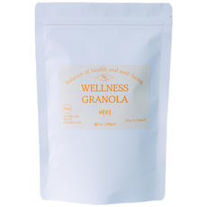 웰니스그래놀라 저당 수제 그래놀라 버터 200g, 1개