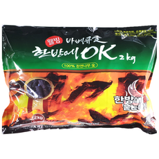 한방에OK 간편점화 착화숯 캠핑 숯불 바베큐 구이용 번개탄 대용, 2kg, 1개