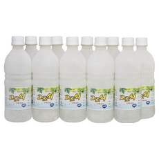 냉동 지리산 고로쇠 수액 고로쇠물, 10개, 500ml